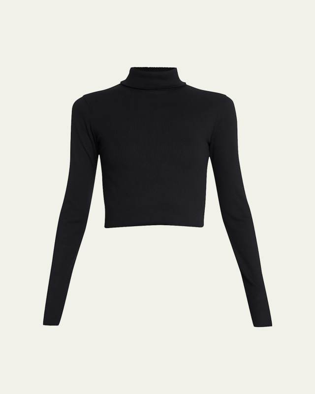 Cropped Fitted Turtleneck Top